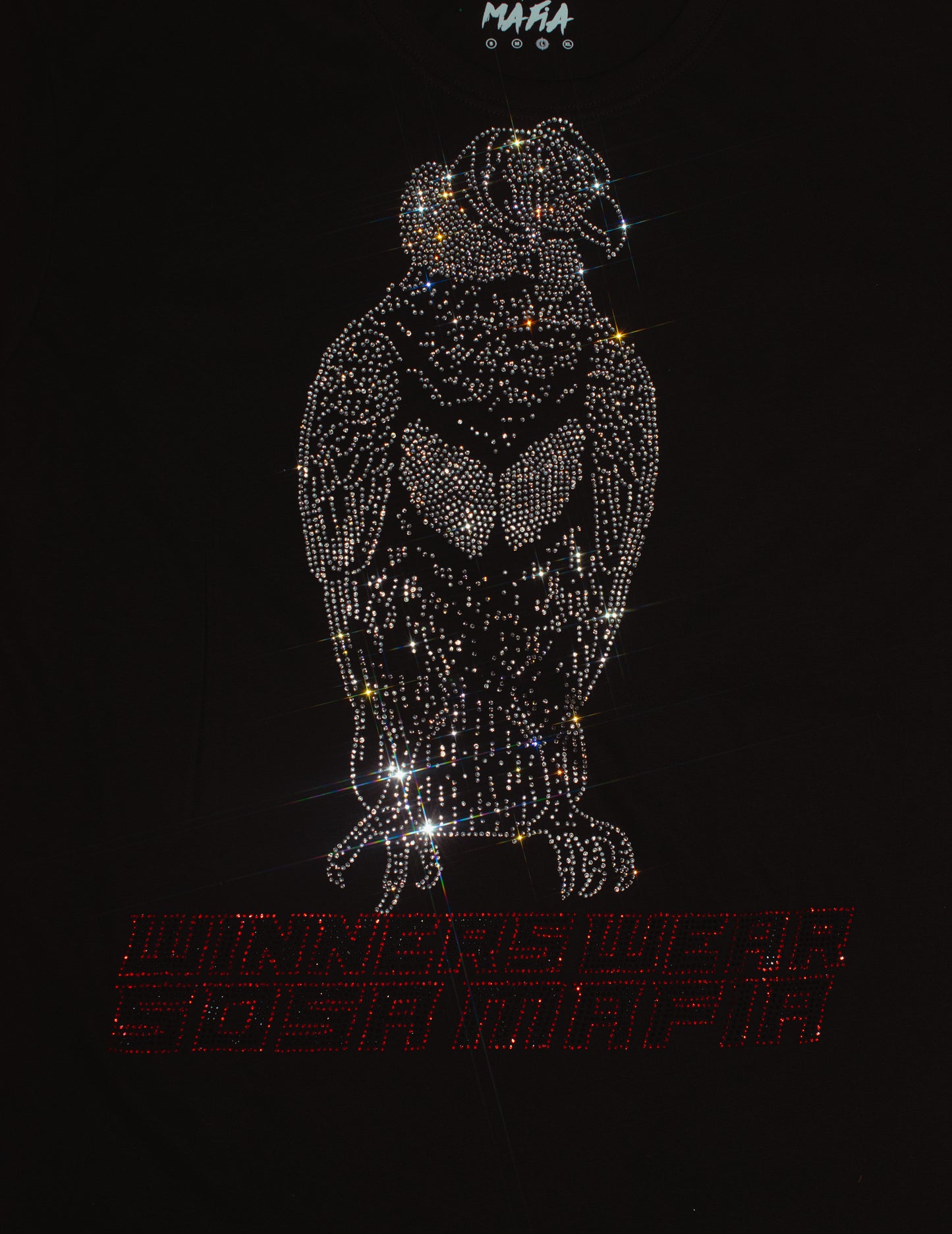 POLERA EDICIÓN LIMITADA “EL CONDOR”