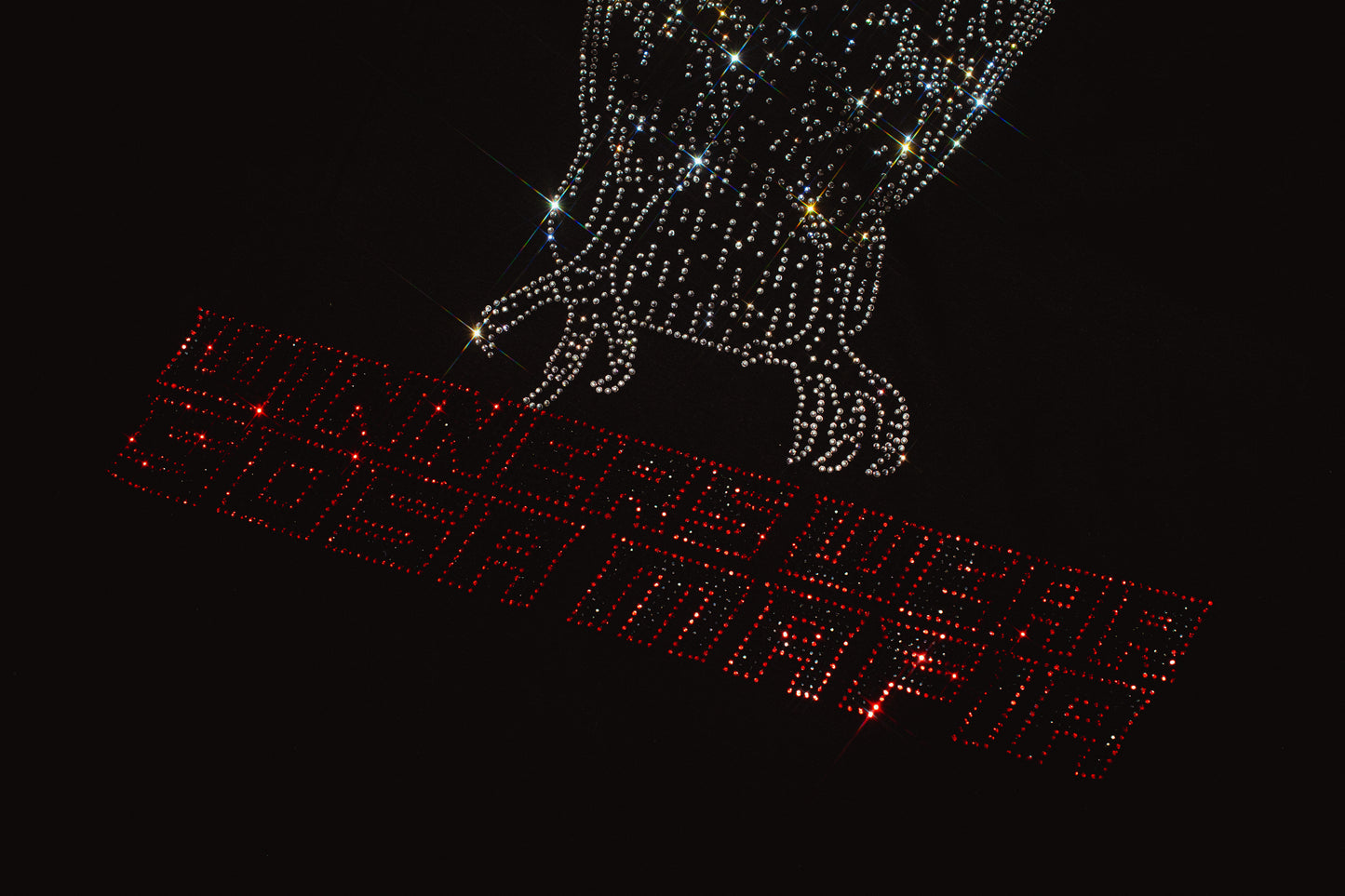 POLERA EDICIÓN LIMITADA “EL CONDOR”