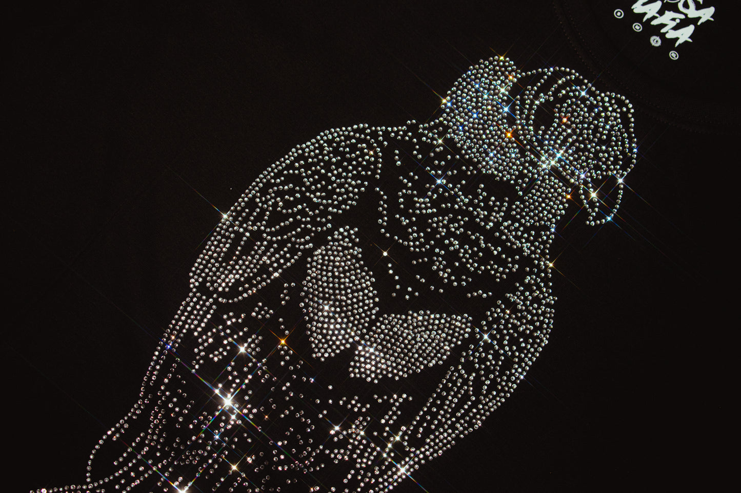 POLERA EDICIÓN LIMITADA “EL CONDOR”